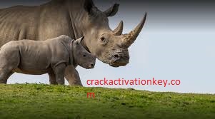 Rhino Crack 7.11.21285.13001 